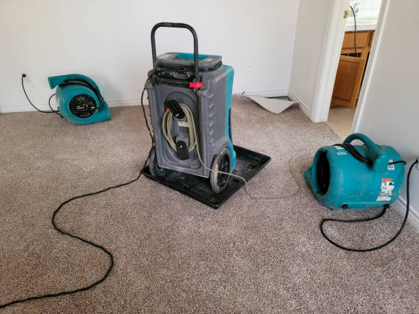 Best Flooded house restoration  in Shackle Island, TN