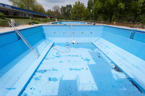 Best Water damage restoration near me  in Shackle Island, TN