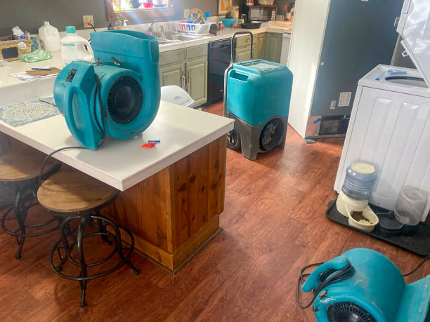 Best 24-hour water damage restoration  in Shackle Island, TN