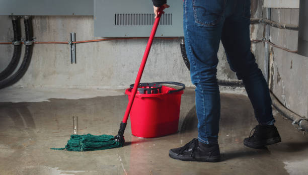 Best Emergency water damage restoration  in Shackle Island, TN