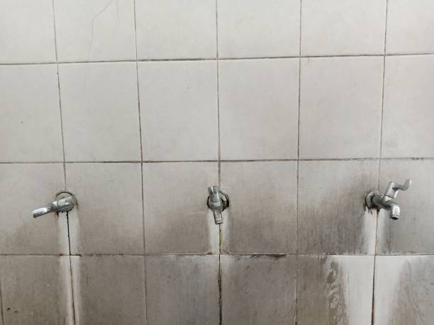 Water damage restoration process in Shackle Island, TN