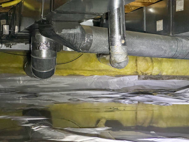  Shackle Island, TN Water damage restoration Pros