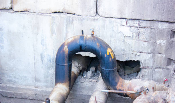 Best Water damage restoration specialists  in Shackle Island, TN